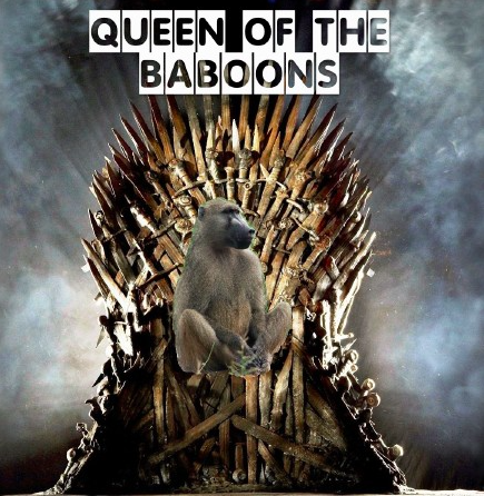 Queen of the Baboons